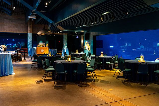 Featured photo from Discovery Bay – Great Hall
