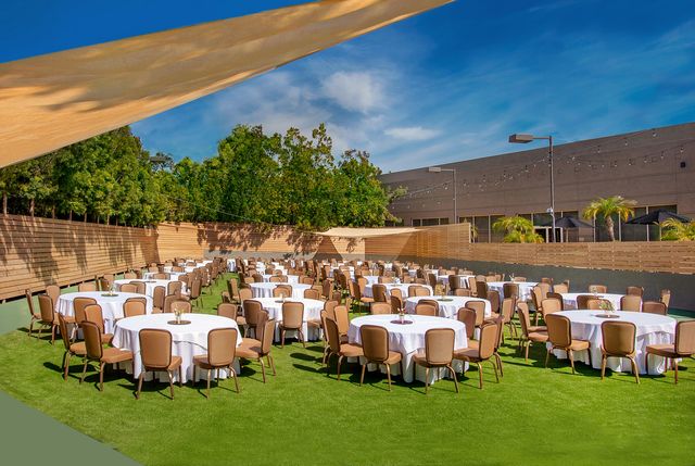 Featured photo from The Patio