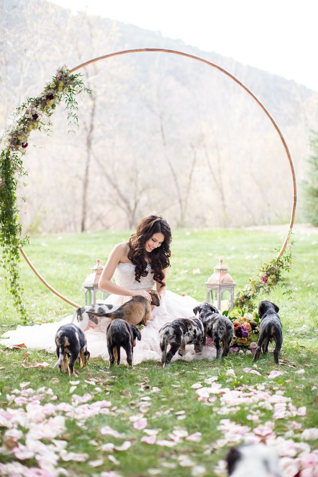 Featured photo from Puppy-Love Wedding Shoot