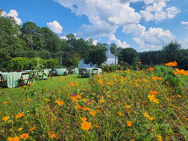 Featured photo from The Garden