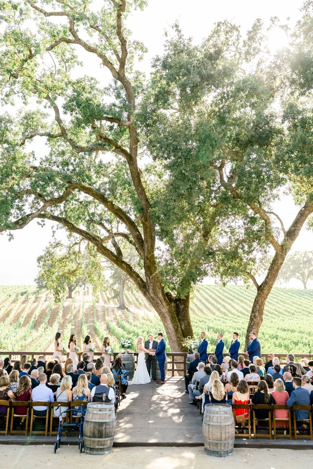 Featured photo from Breathtaking Wedding at B.R. Cohn Winery in Glen Ellen, CA