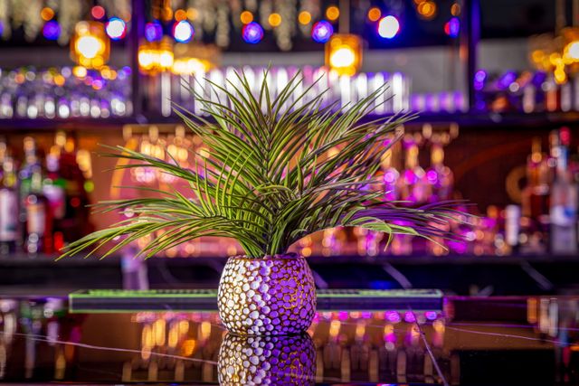 Featured photo from Luxury Event Space in Kissimmee | Speakeasy Venue for Parties, Birthdays & Corporate Events