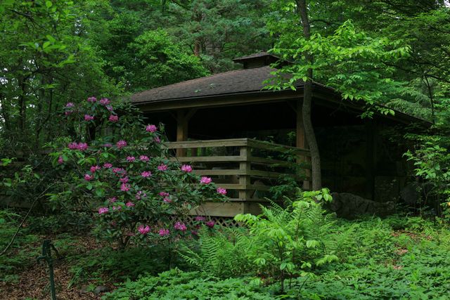 Featured photo from The Pavilion