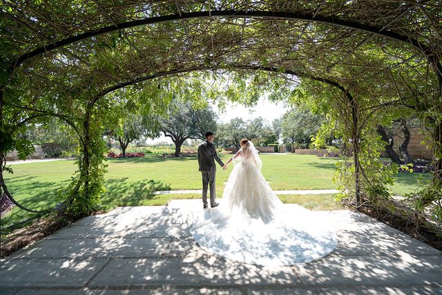 Featured photo from Greehey Lawn