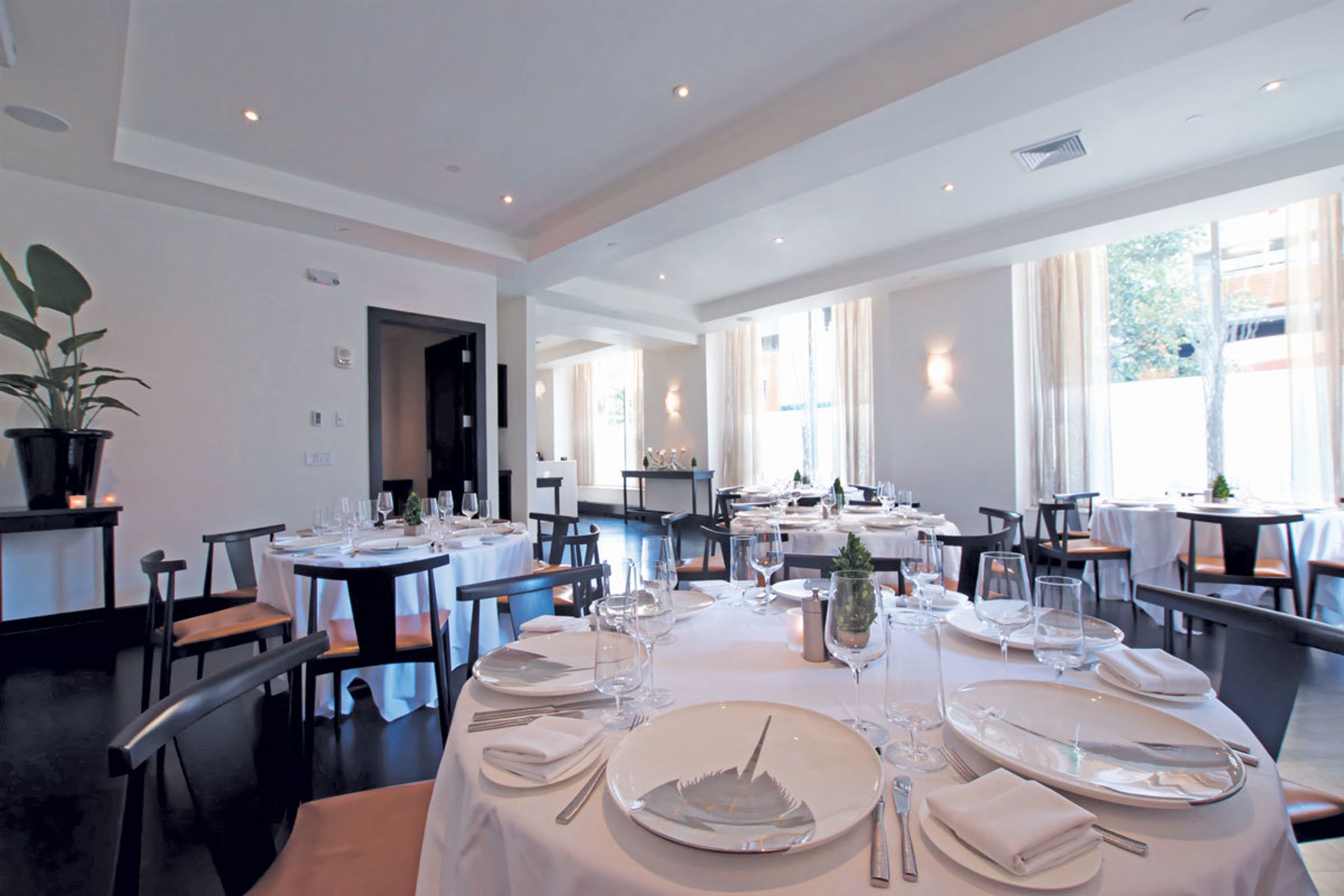 Private Dining Room, an event space at Ostra