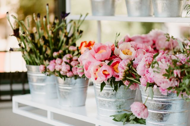 Featured photo from Detox/Retox Post-Wedding Brunch