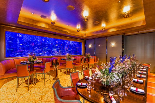 Featured photo from The Rainbow Reef Room