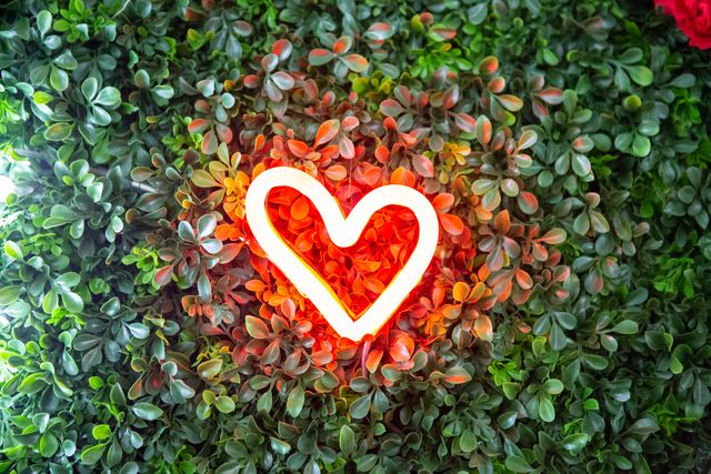 Featured photo from American Heart Association's 2019 Heart and Stroke Ball at Westin Waterfront in Boston, Massachusetts