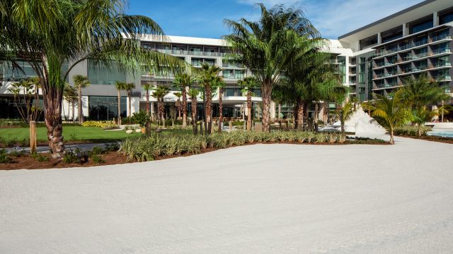 Featured photo from Daylily Beach