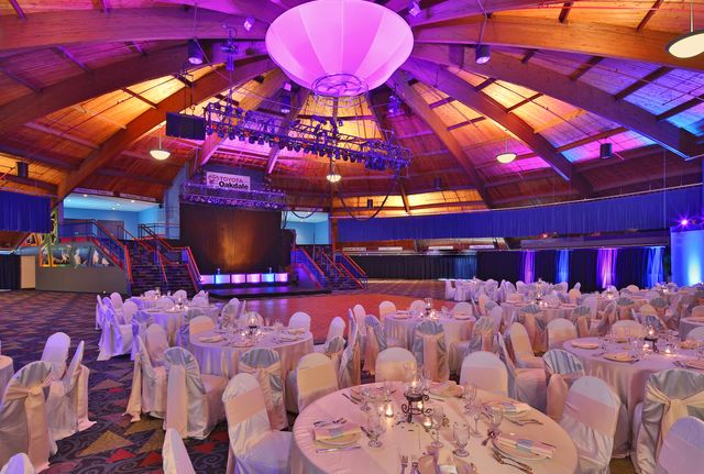 Featured photo from The Dome