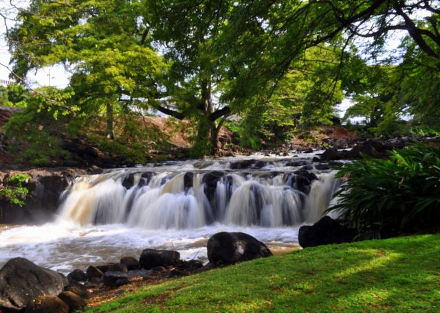 Featured photo from Garden Grounds