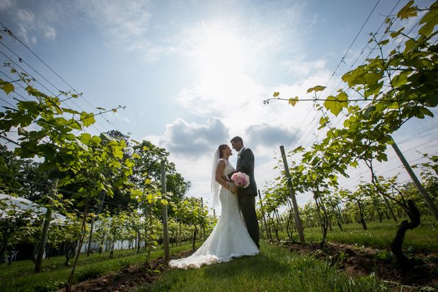 Featured photo from Vistas at the Vineyard