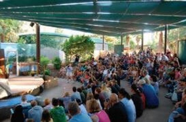 Featured photo from Amphitheater