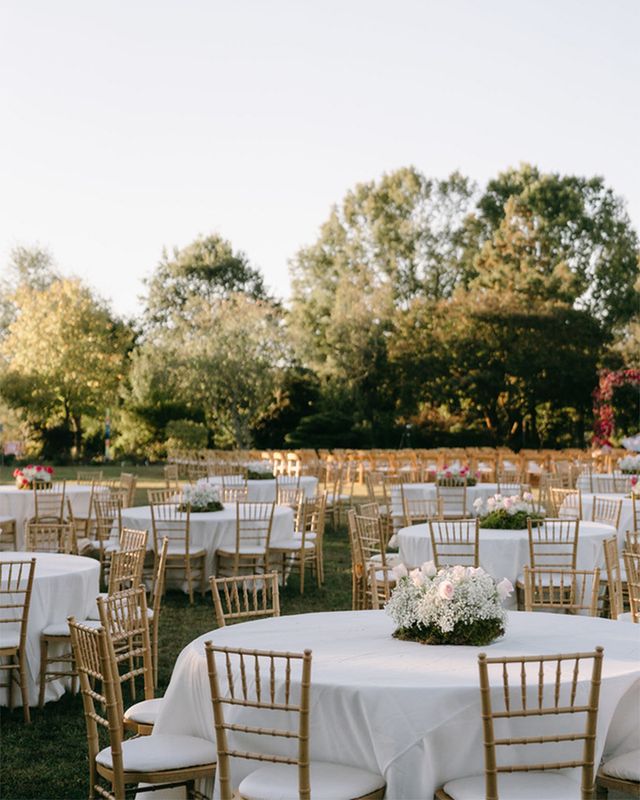 Featured photo from Great Lawn