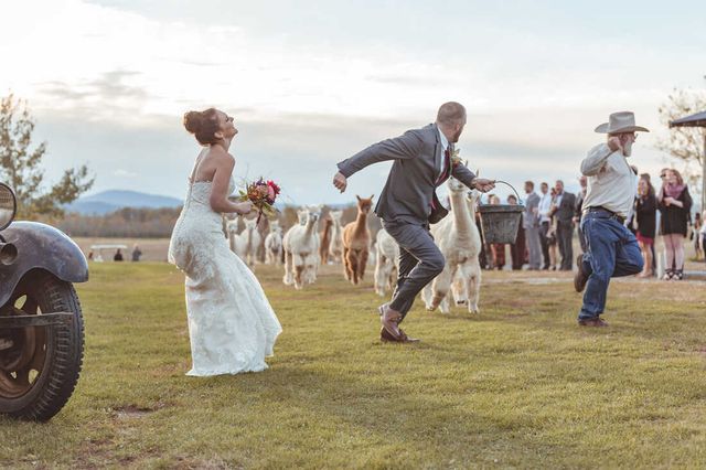 Featured photo from The Vermont Wedding Barn
