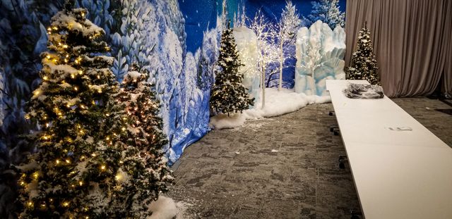 Featured photo from Genentech's "Aurora Borealis"