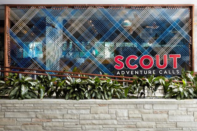 Featured photo from Scout