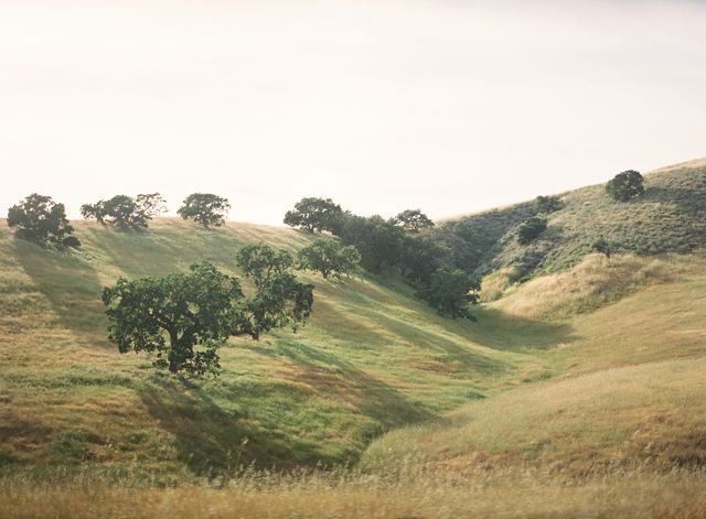 Featured photo from Kestrel Park Wedding in the Spring