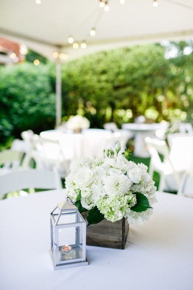 Featured photo from Backyard Surprise 40th Anniversary