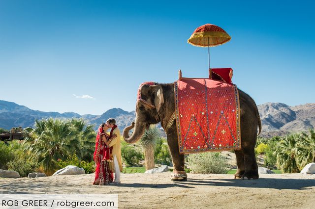 Featured photo from Wedding Photography