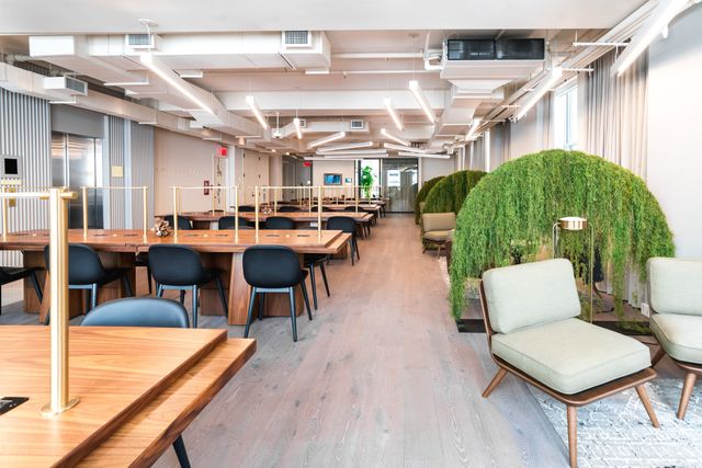 Featured photo from The Library