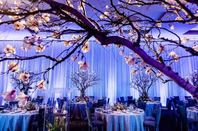 Featured photo from 'Awakening of Spring' | WIPA Seattle February Event at Four Seasons Hotel Seattle in Seattle, WA
