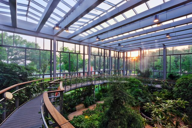 Featured photo from Butterfly House