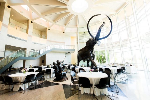 Featured photo from Pleistocene Plaza