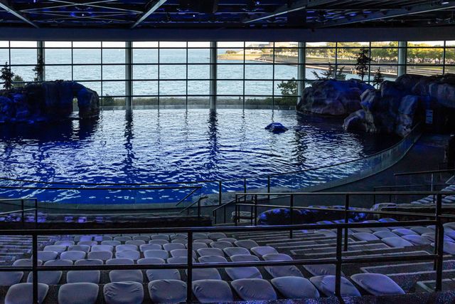 Featured photo from Rice Foundation Amphitheater