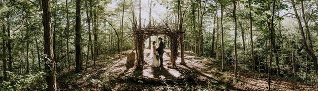 Featured photo from The Woods