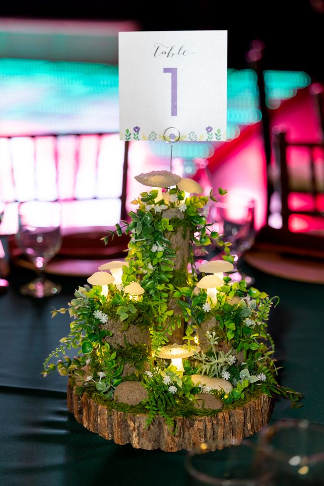Featured photo from Enchanted Fairy Forest