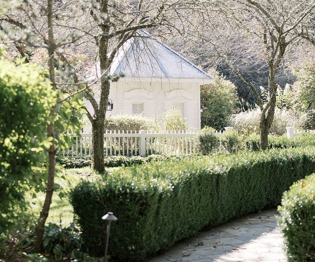 Featured photo from The Orchard