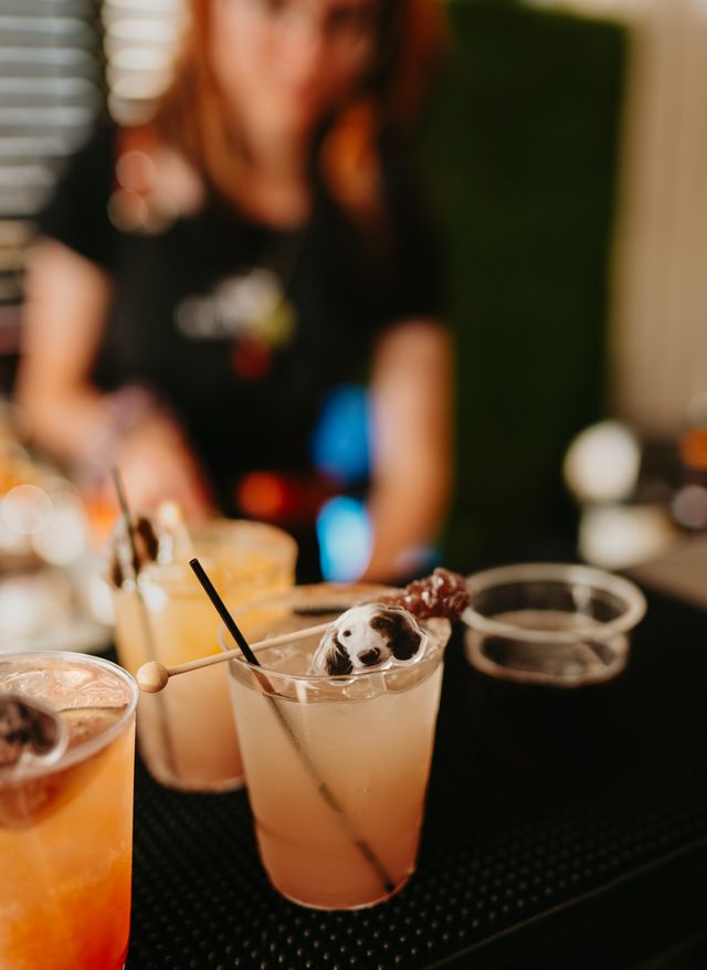 Featured photo from Lauren & Josh's Wedding