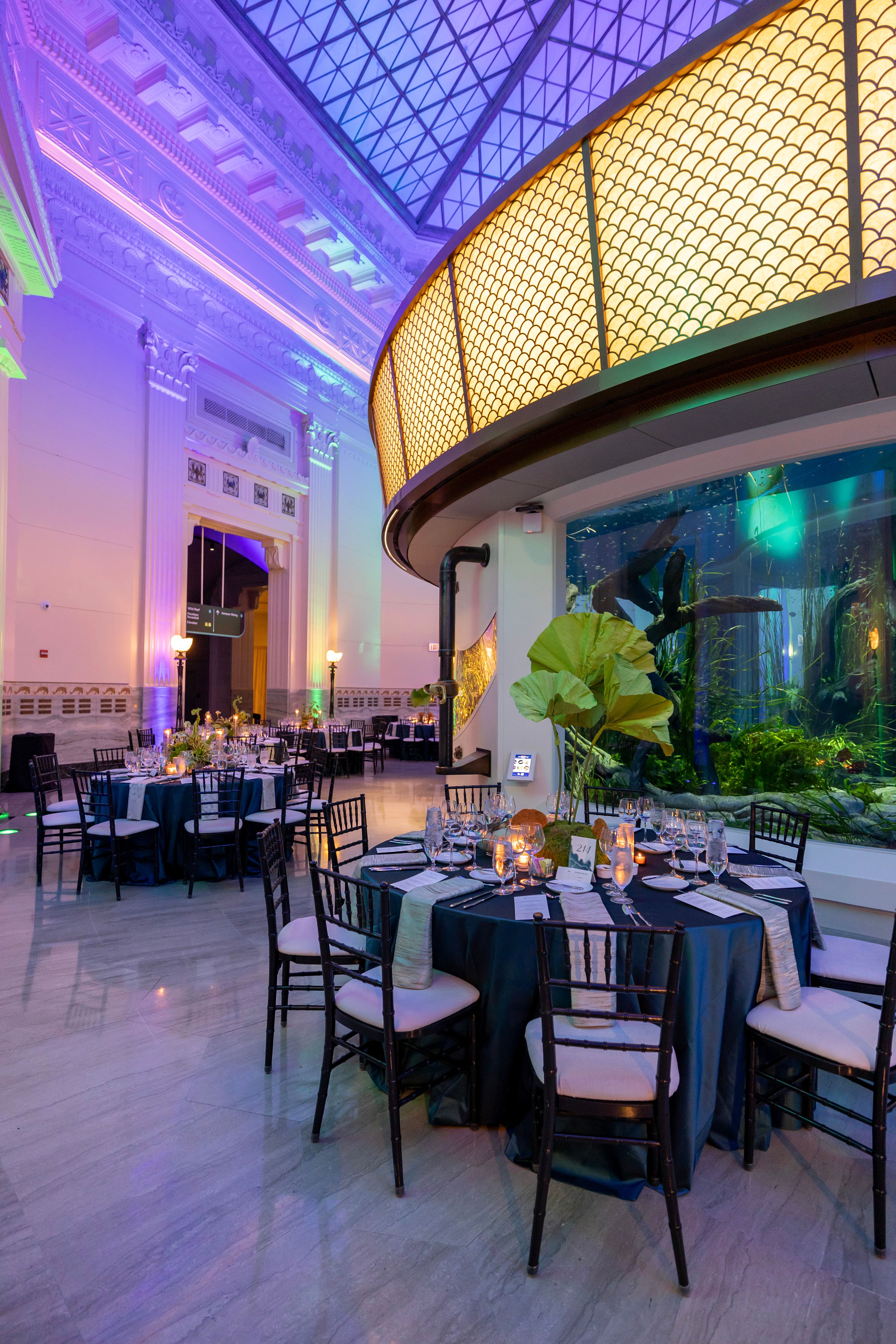 Wonder of Water, an event space at Shedd Aquarium