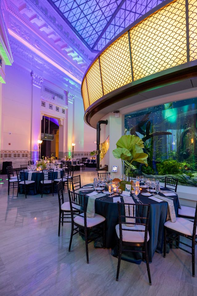 Featured photo from Wonder of Water