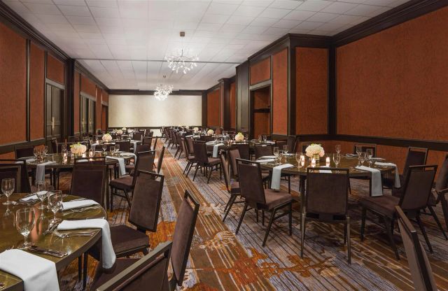 Featured photo from Vanda