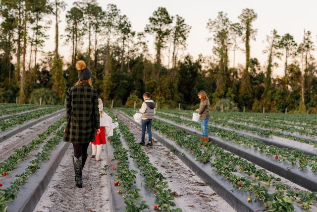 Featured photo from The Full Farm