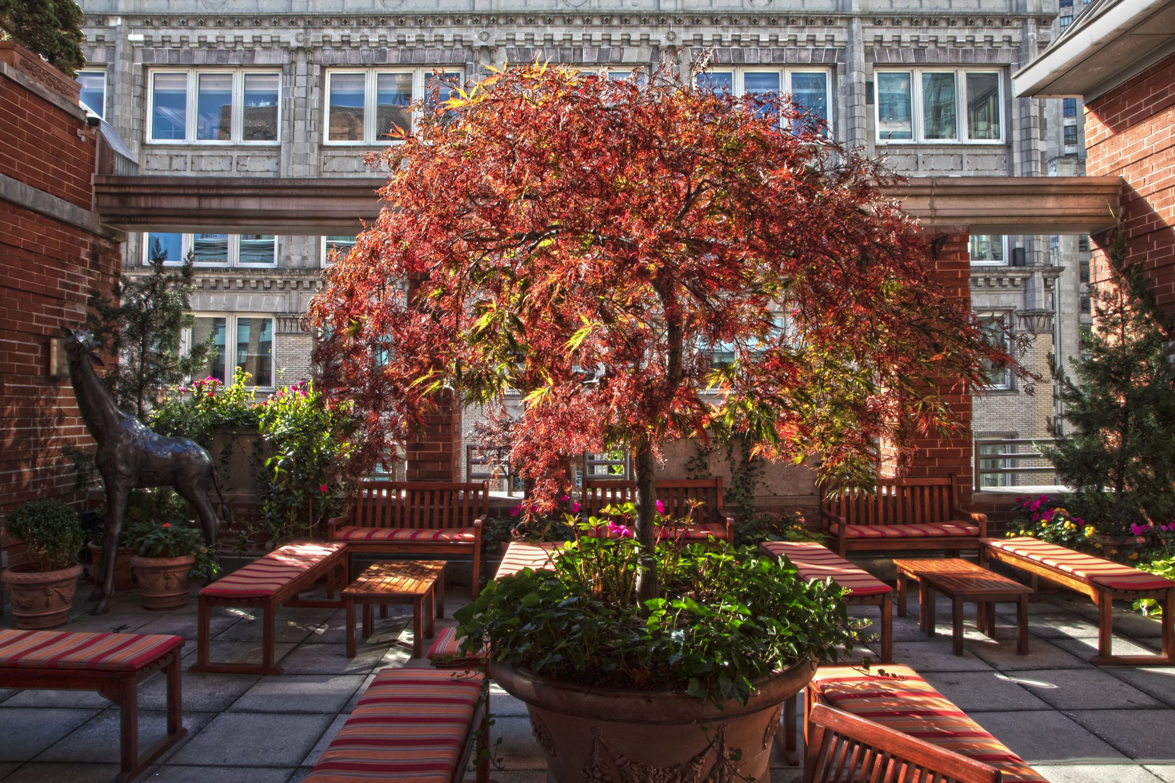 Event Room & Rooftop, an event space at Audace