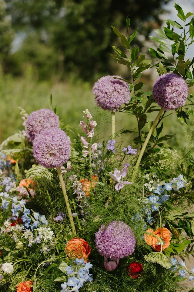 Featured photo from Lovely Summer Day for Alex & Matt!