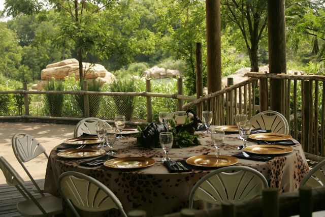 Featured photo from Botswana Overlook