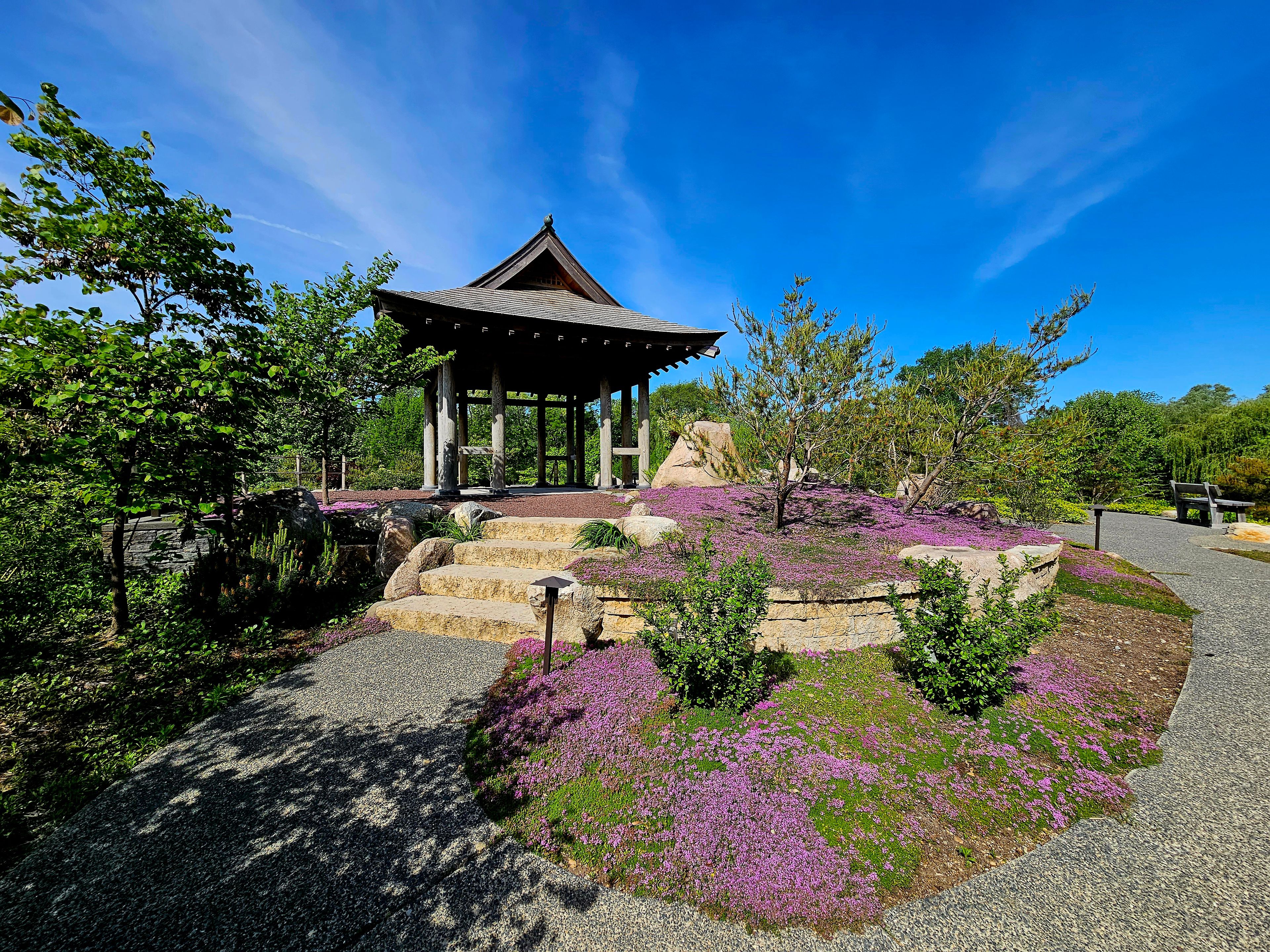 Island Garden, an event space at Wellfield Botanic Gardens