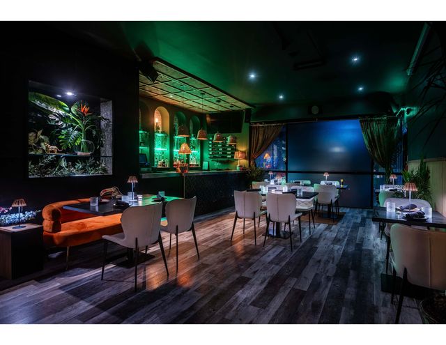 Featured photo from SELVA