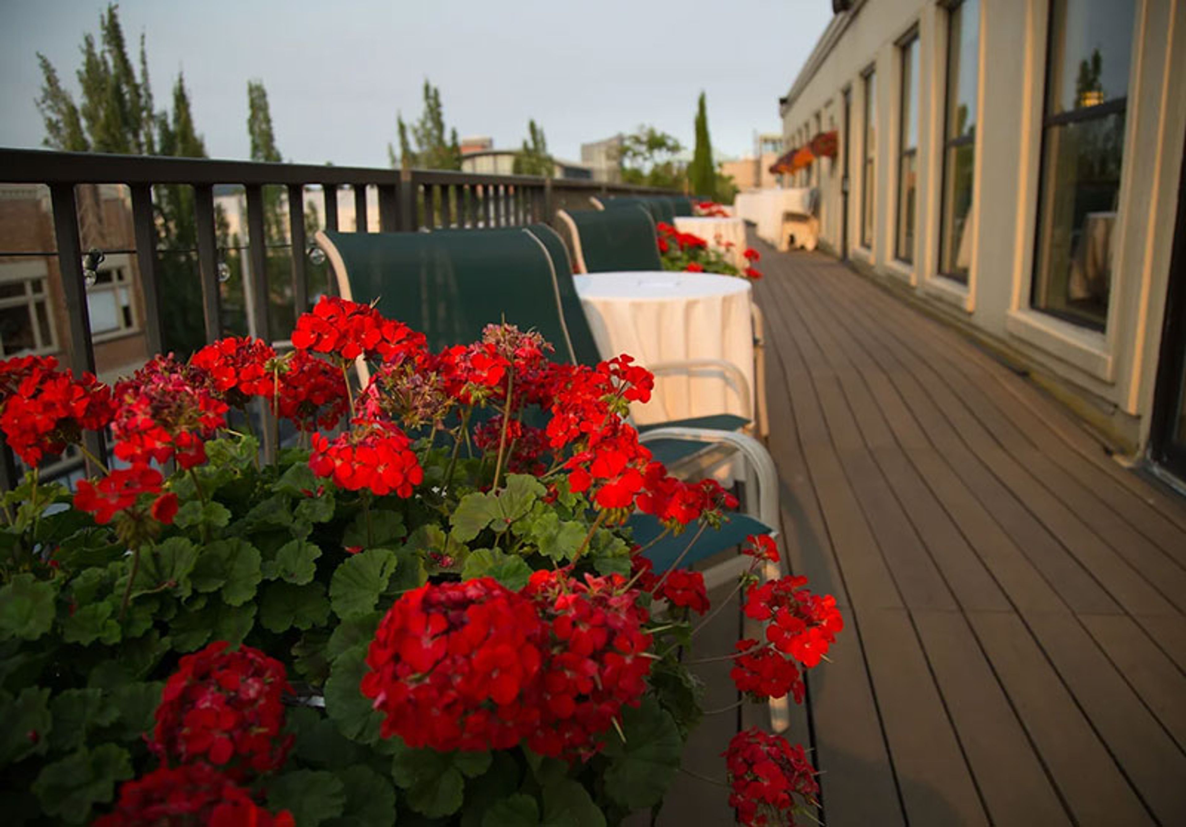 Rooftop Patio, an event space at Downtown Athletic Club