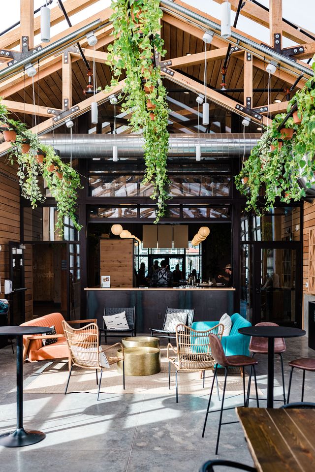 Featured photo from Greenhaus