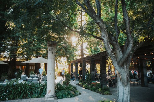 Featured photo from South Arbor