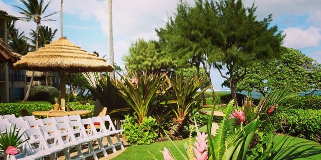 Featured photo from Oasis on the Beach