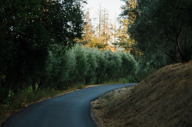 Featured photo from Profile Estate Vineyard