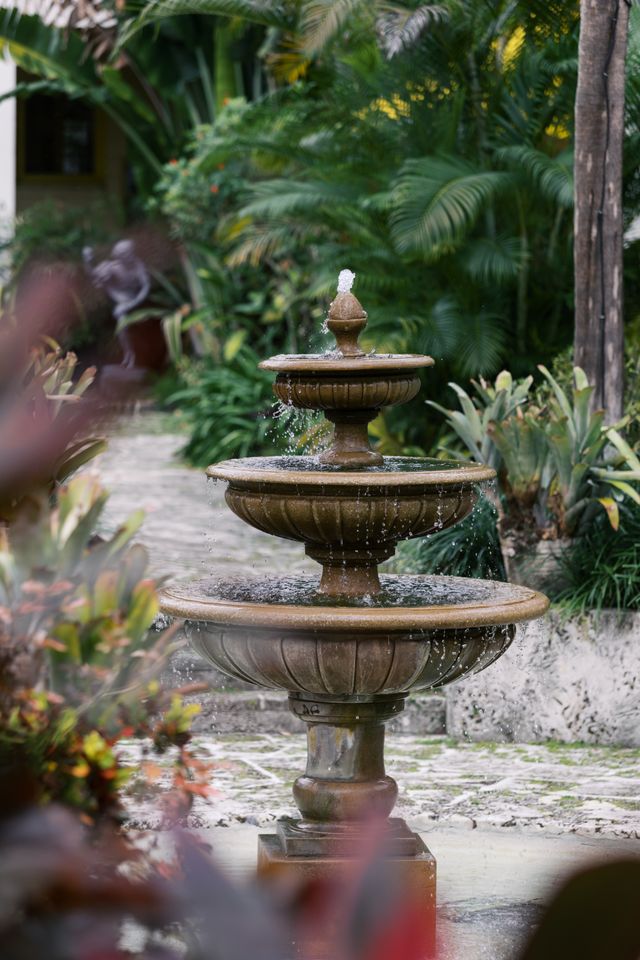 Featured photo from A Celebration Among the Palms