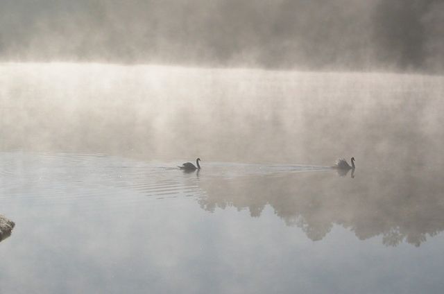 Featured photo from The Green