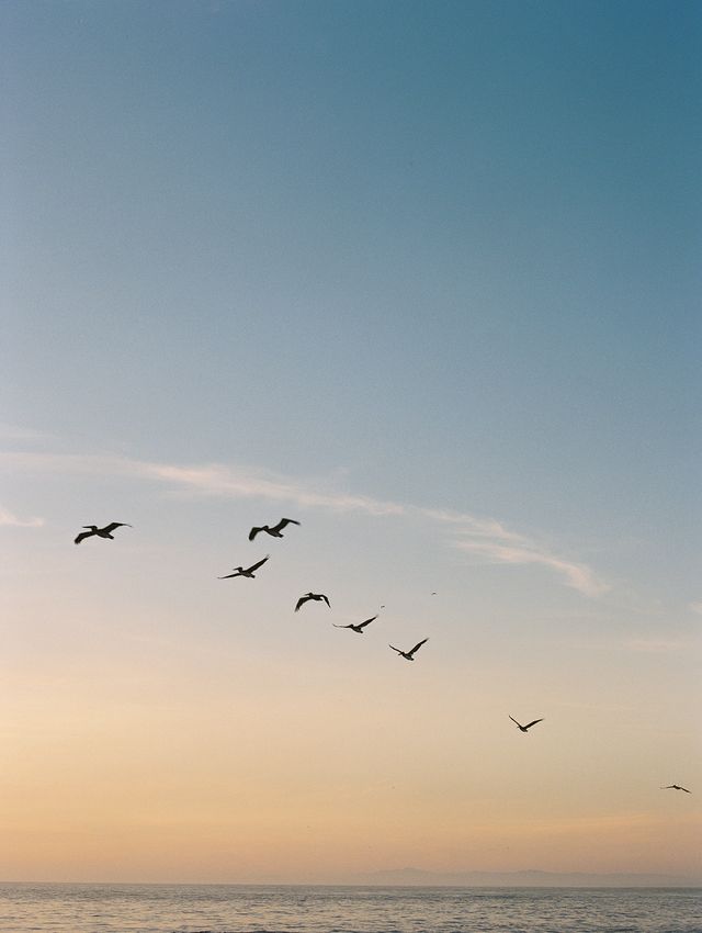 Featured photo from A & M Wedding